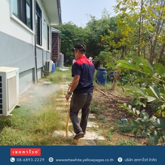 กำจัดตุ๊กแก จิ้งจก กำจัดตุ๊กแก จิ้งจก  กำจัดตุ๊กแกใกล้ฉัน  กำจัดตุ๊กแก  จับตุ๊กแก  รับจับตุ๊กแก  ไล่ตุ๊กแก ถาวร 