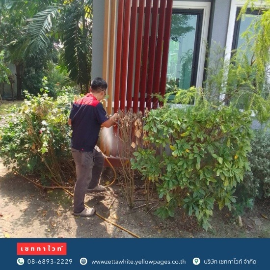 ฉีดนำยากำจัดปลวก มด ตุ๊กแก ปทุมธานี
